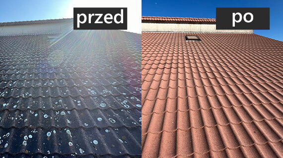 Mycie dachu przed i po Mycie dachu przed i po