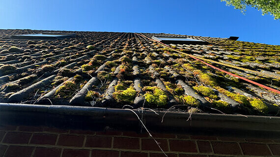 mech na dachu usuwanie czyszczenie