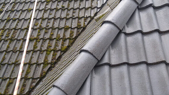 usuwanie mchu z dachu