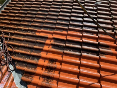 czyszczenie dachówki poznań czyszczenie dachówki poznań