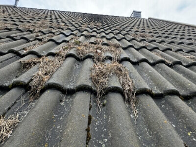 ocena stanu technicznego dachu poznań ocena stanu technicznego dachu poznań