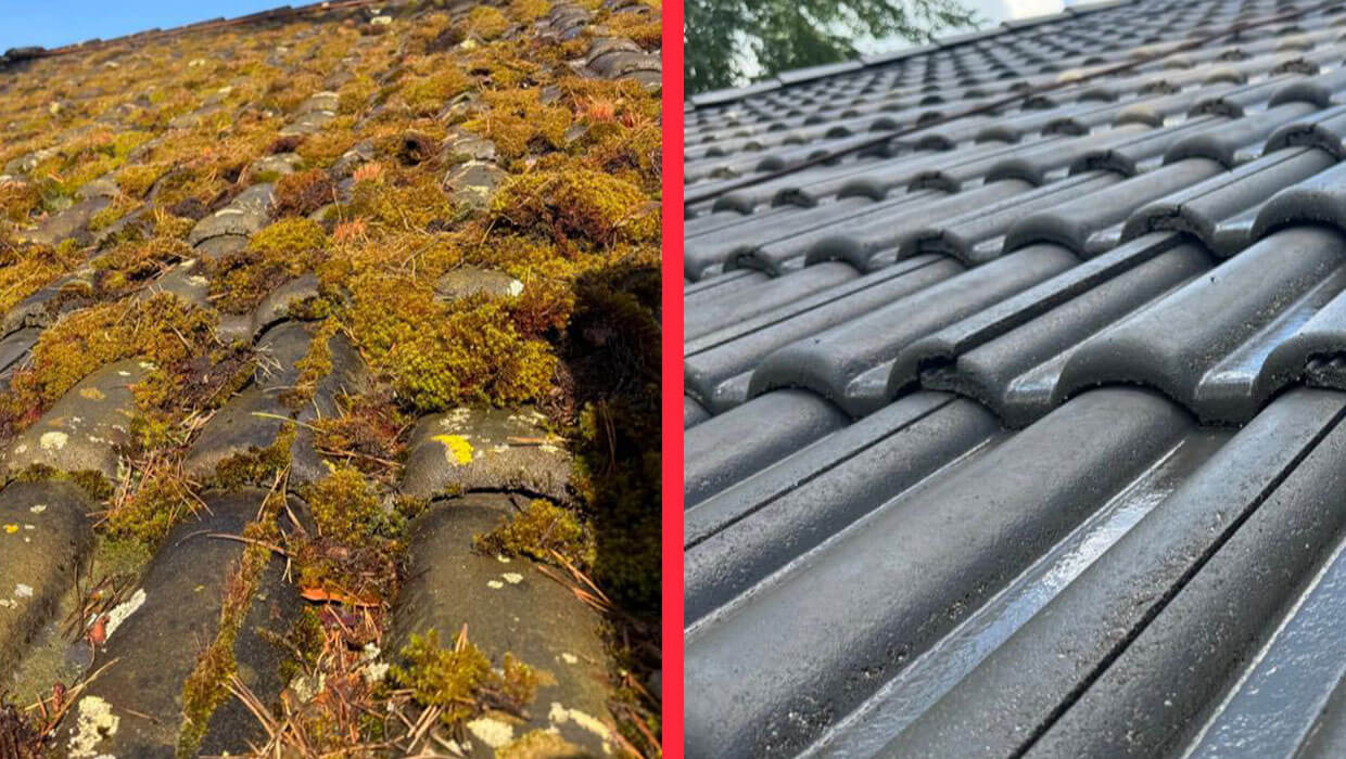 Sprzątanie dachów – usuwanie mchu, liści Berlin
