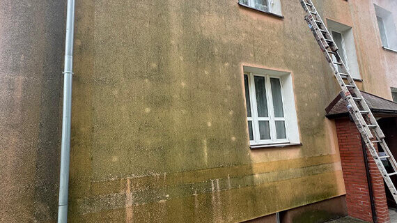 usuwanie-porostow-z-elewacji usuwanie-porostow-z-elewacji