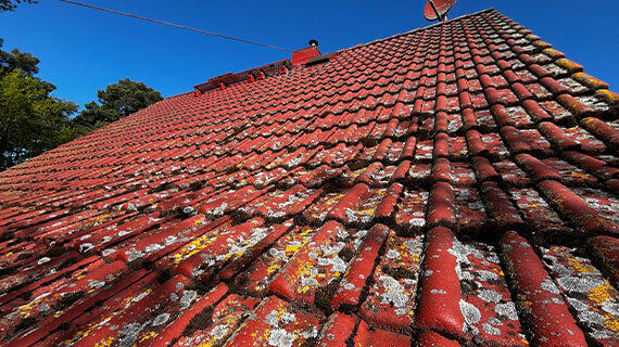 Dach do czyszczenia Nennhausen Nennhausen - mycie i malowanie dachu