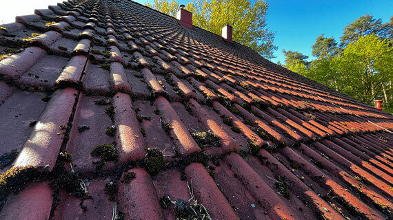 Dachówka przed czyszczeniem Dachówka przed czyszczeniem