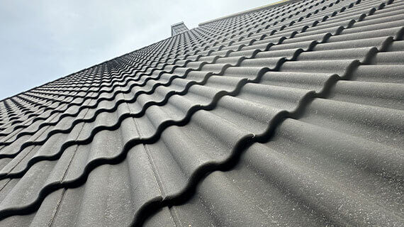 Usuwanie zabrudzeń i ochrona dachu