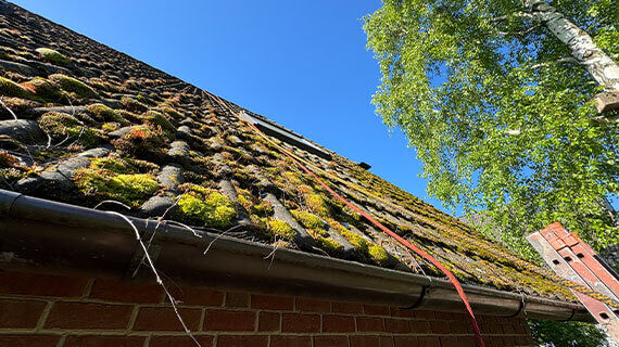 Kostka brukowa przed po