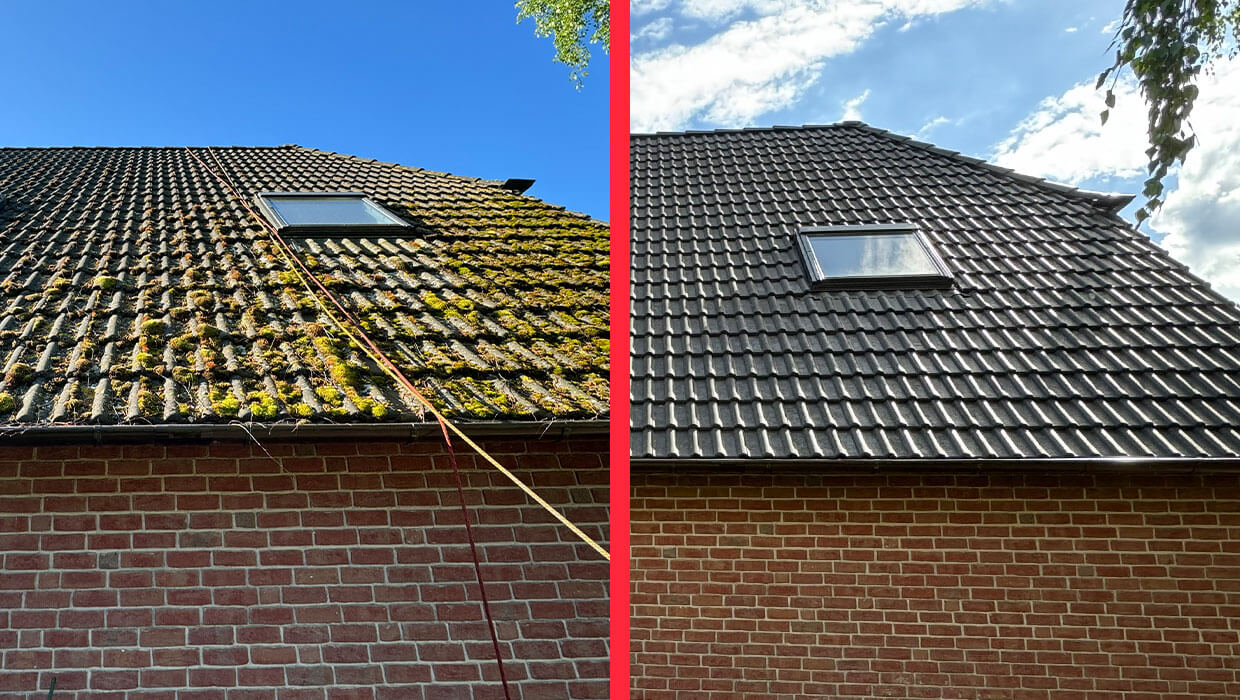 Usuwanie mchu i impregnacja dachu w Berlinie