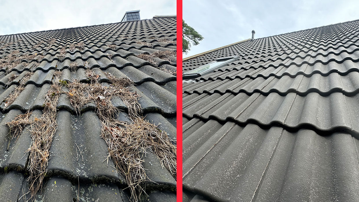 Usuwanie zabrudzeń i ochrona dachu w Berlinie