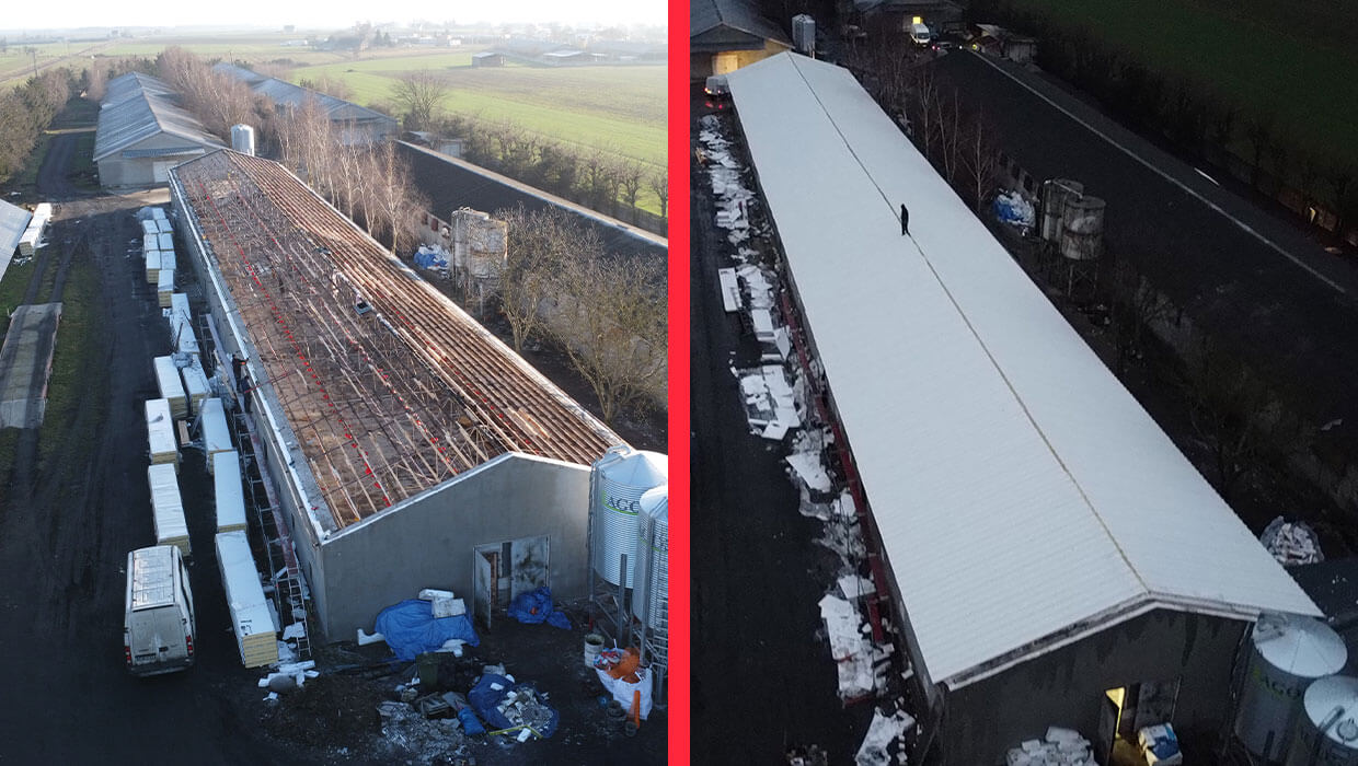 Wymiana dachu w kurniku - Wolsztyn