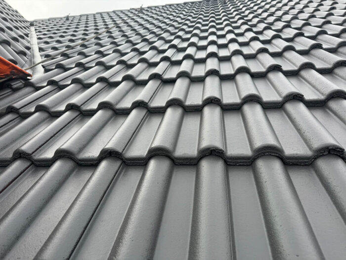 dach po malowaniu farbą tectoniq