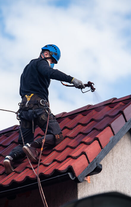 farba do malowania dachu