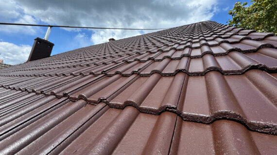 Wichów - mycie, malowanie dachu