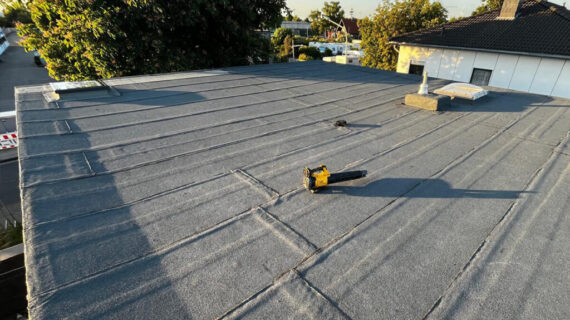 nowa papa dach nowa papa dach