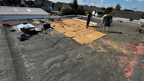 Wymiana papy w Übach-Palenberg