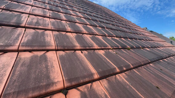 Czyszczenie i impregnacja dachu w Neuhardenberg przed i po