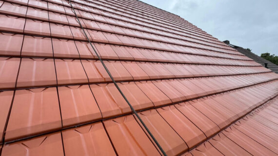 Czyszczenie i impregnacja dachu w Neuhardenberg przed i po