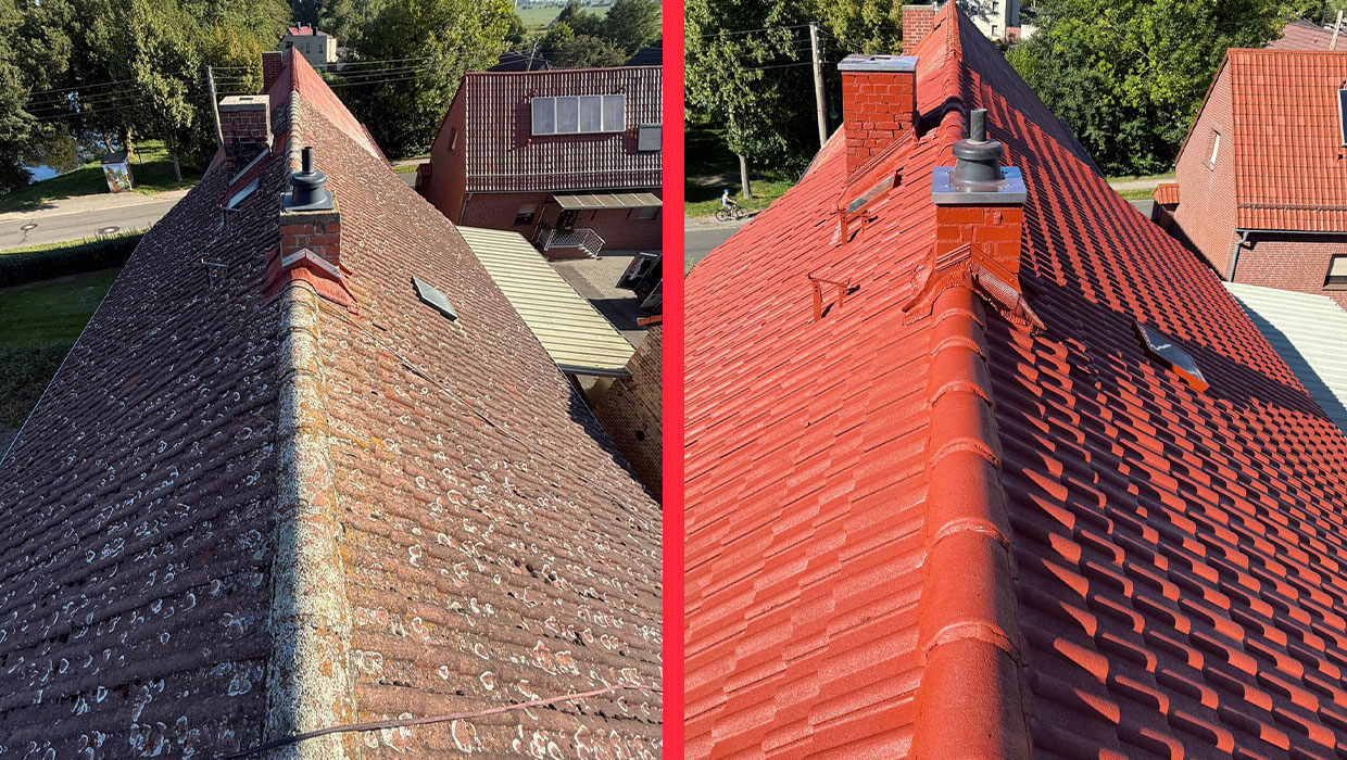 Czyszczenie i malowanie dachu w Dessau-Rosslau