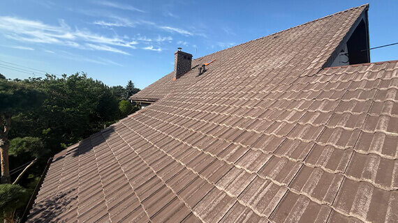 Modrzyca - firma do malowania dachu