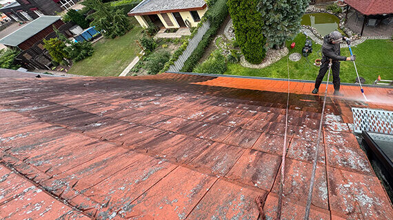 Renoskam w trakcie pracy w Neuhardenberg 