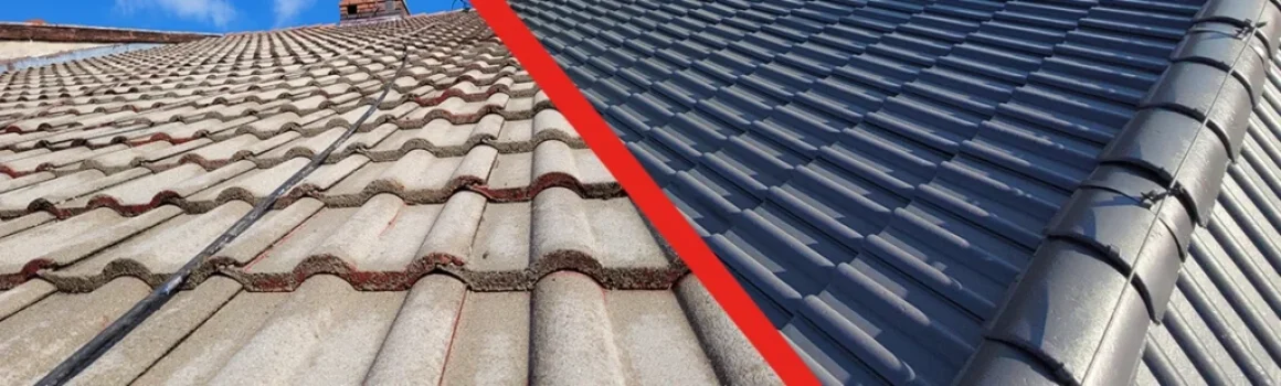 Pomalowany dach Renoskam Dach streichen