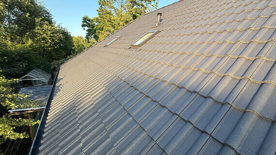 Windeby Mycie i malowanie dachu przed i po