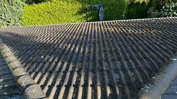 Dach przed czyszczeniem i malowaniem - realizacja w Magdeburgu Mycie i malowanie dachu w Magdeburgu