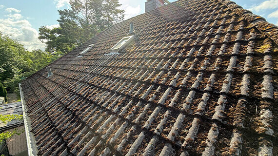 Windeby Mycie i malowanie dachu przed i po