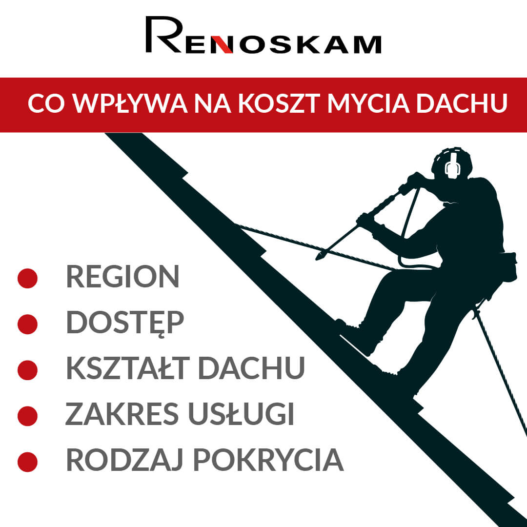 Jakie elementy wpływają na cenę mycia dachu?