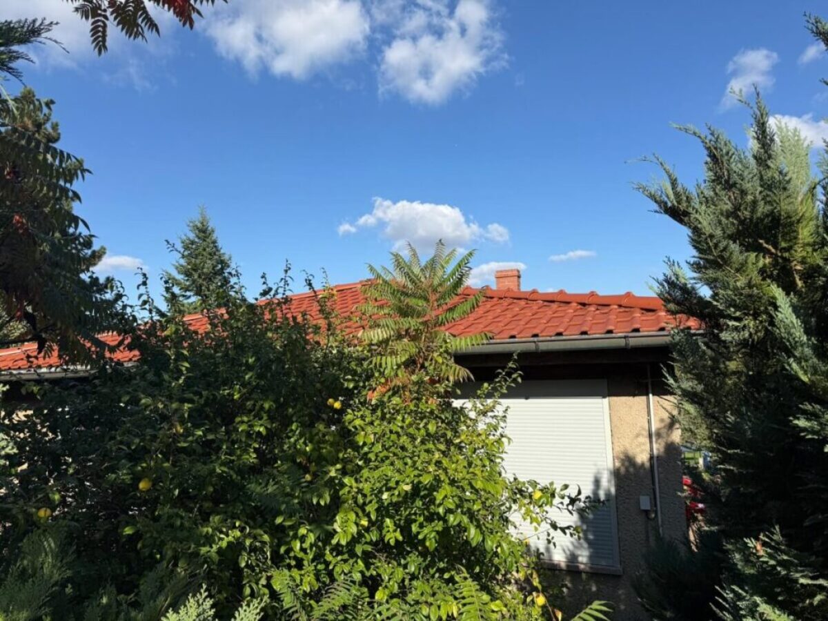 Po malowaniu dachu Sömnitzer Ring, Jahnatal-4 Po malowaniu dachu Sömnitzer Ring, Jahnatal-4