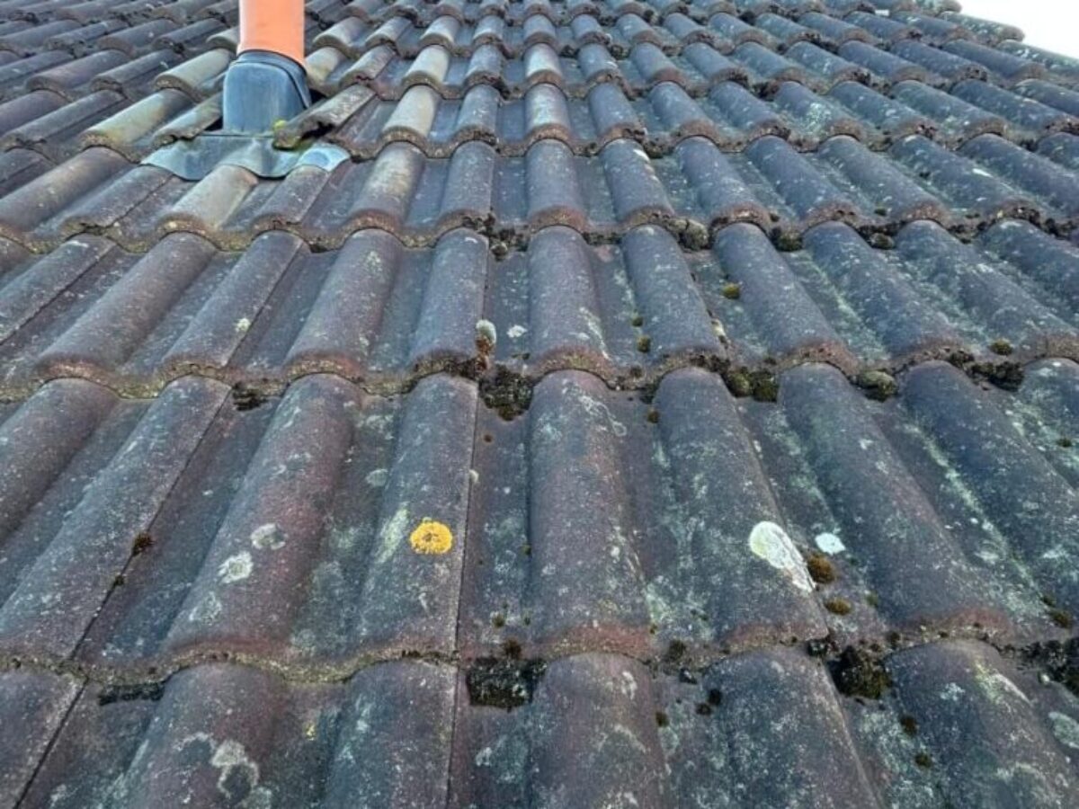 Czyszczenie dachu Brandenburgia - PRZED