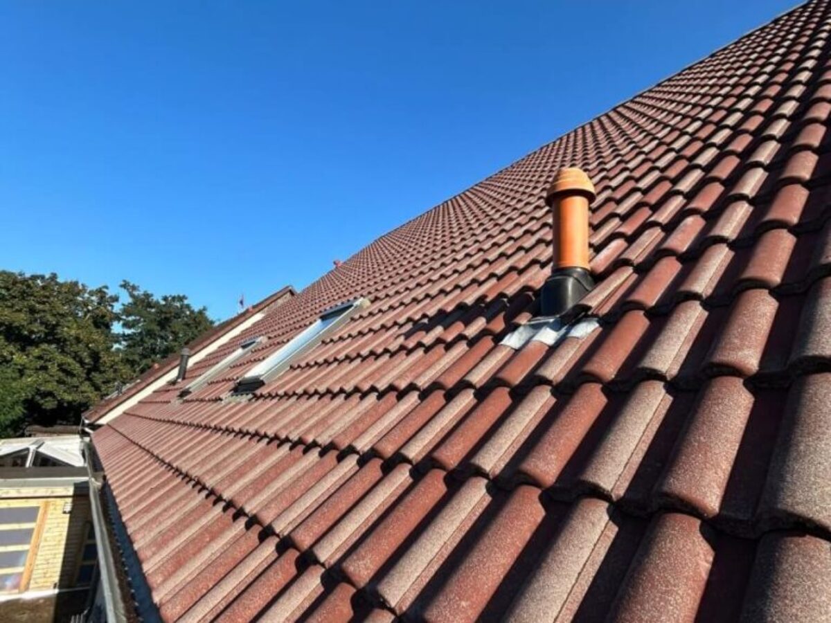 Czyszczenie dachu w Brandenburgii - PO