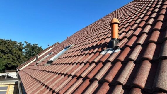 Brandenburgia - czyszczenie dachów