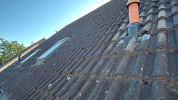 Brandenburgia - czyszczenie dachów