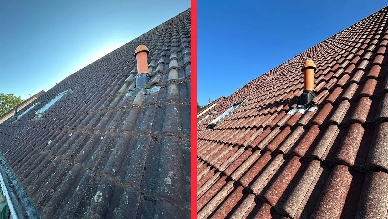 Czyszczenie dachu w Brandenburgii