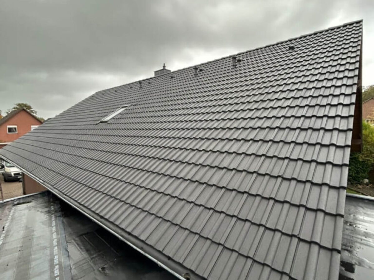Mycie malowanie dachów Gifhorn