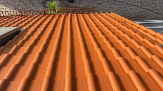 Efekt po czyszczeniu dachu w Radibor Mycie dachu Radibor - przed i po