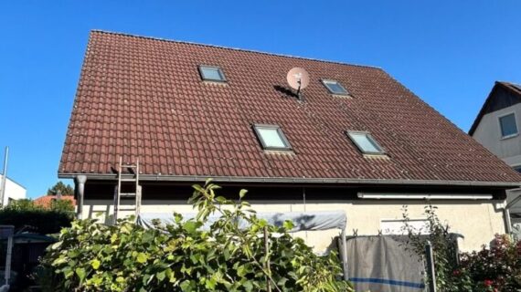 Czyszczenie dachu Brandenburgia