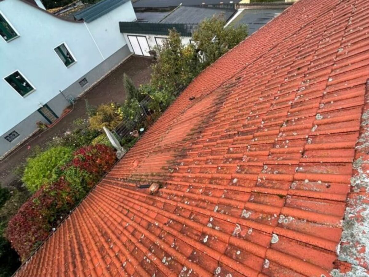 Przed czyszczeniem dachu w Möser Przed czyszczeniem dachu w Möser