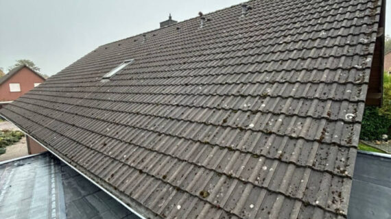 Mycie dachu w Gifhorn