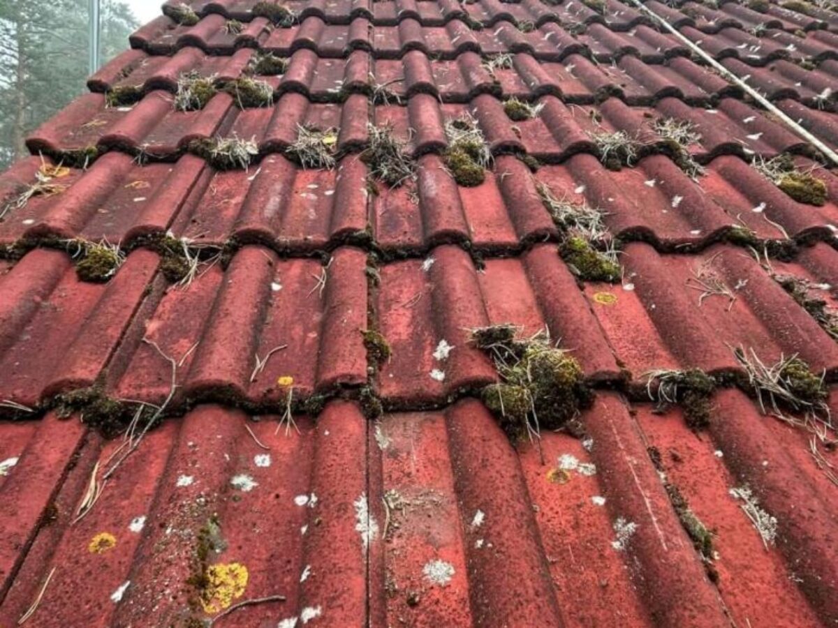 Stan przed malowaniem dachu