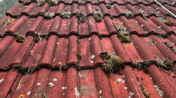 Mycie dachu Nowa Sól firma