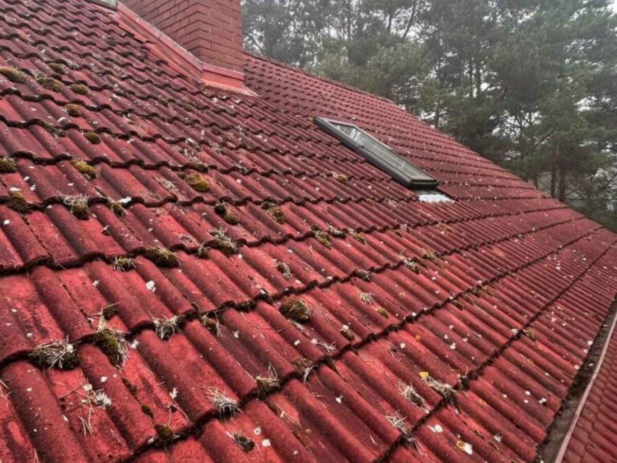 Nowa Sól malowanie dachów