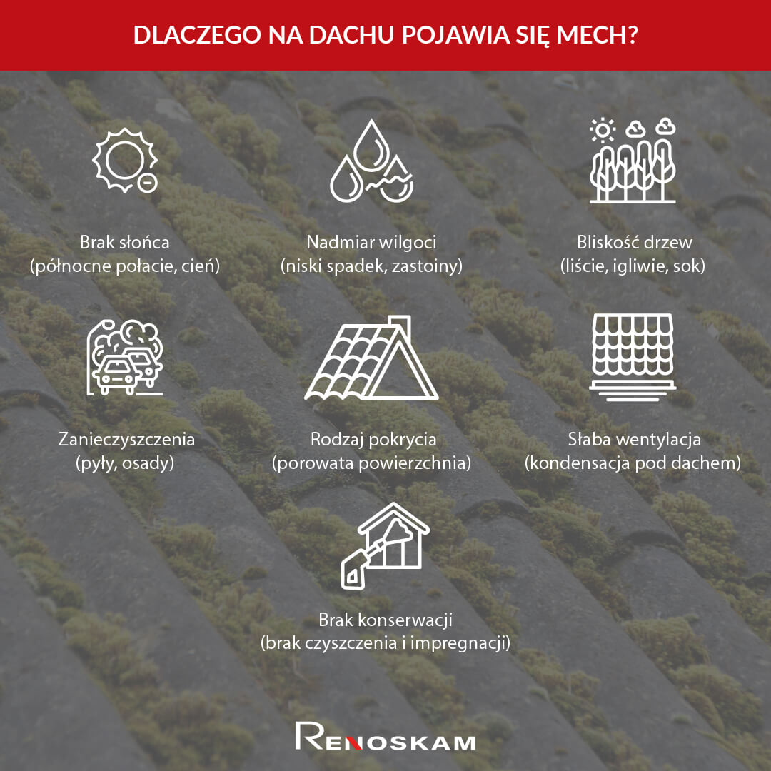 Infografika: dlaczego na dachu pojawia się mech – brak słońca, wilgoć, drzewa, zanieczyszczenia, rodzaj pokrycia i słaba wentylacja