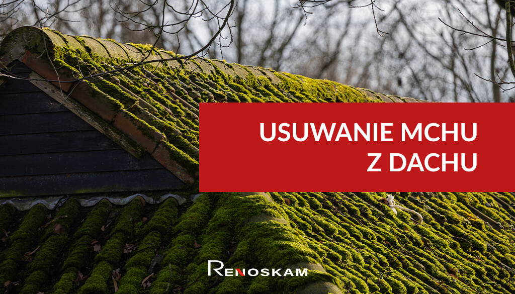 Usuwanie mchu z dachu – dachówka porośnięta zielonym mchem przed czyszczeniem