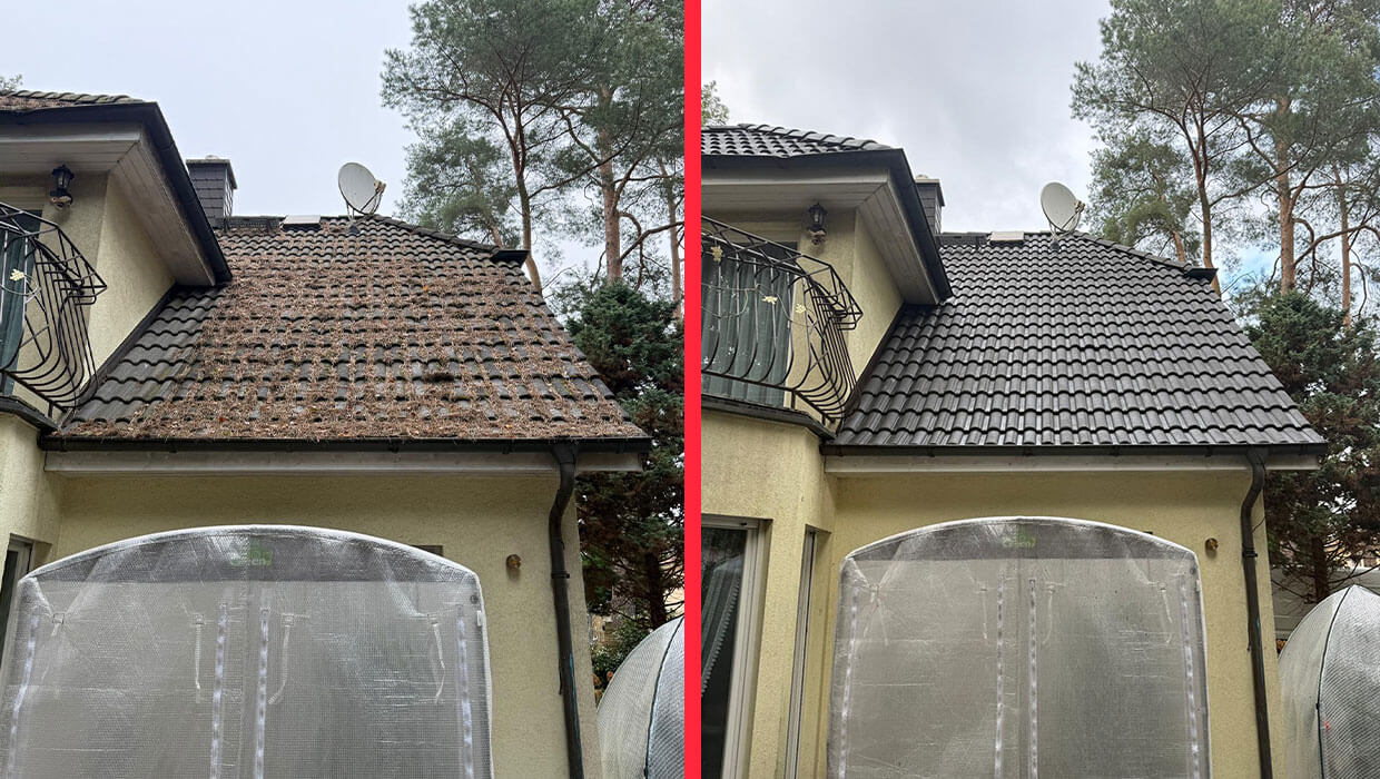 Czysty dach wolny od nalotów i igliwia