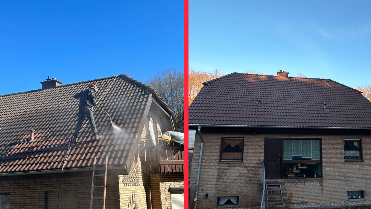 Mycie dachu i impregnacja dachu w Hainichen