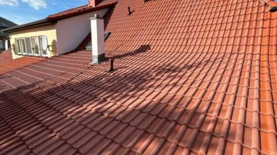 Czyszczenie dachu Süderholz
