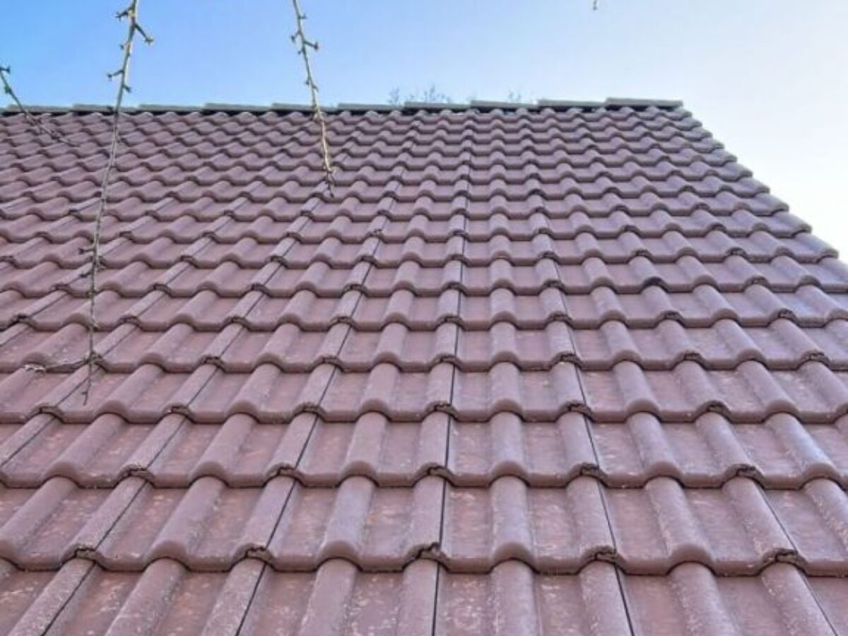 Po myciu i impregnacji dachu - Berlin