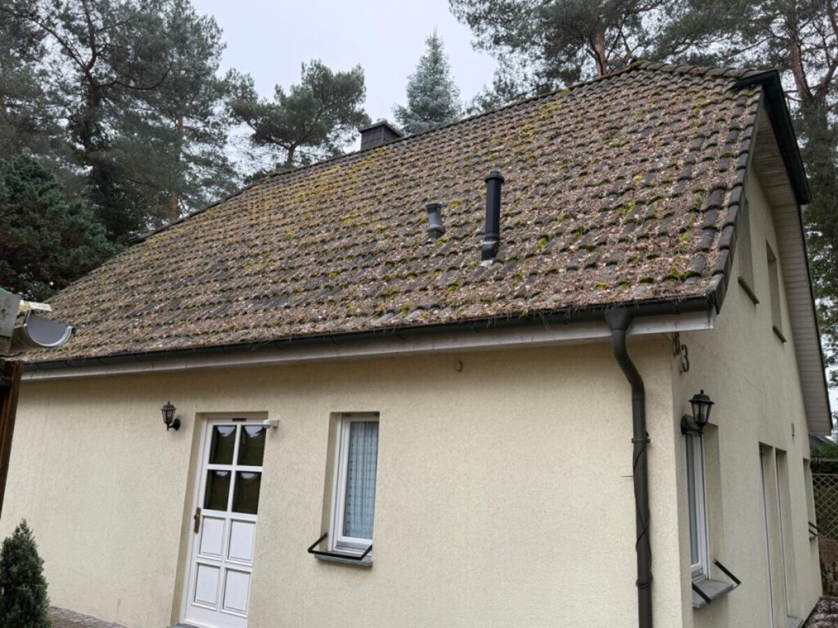 Przed czyszczeniem dachu - Berlin